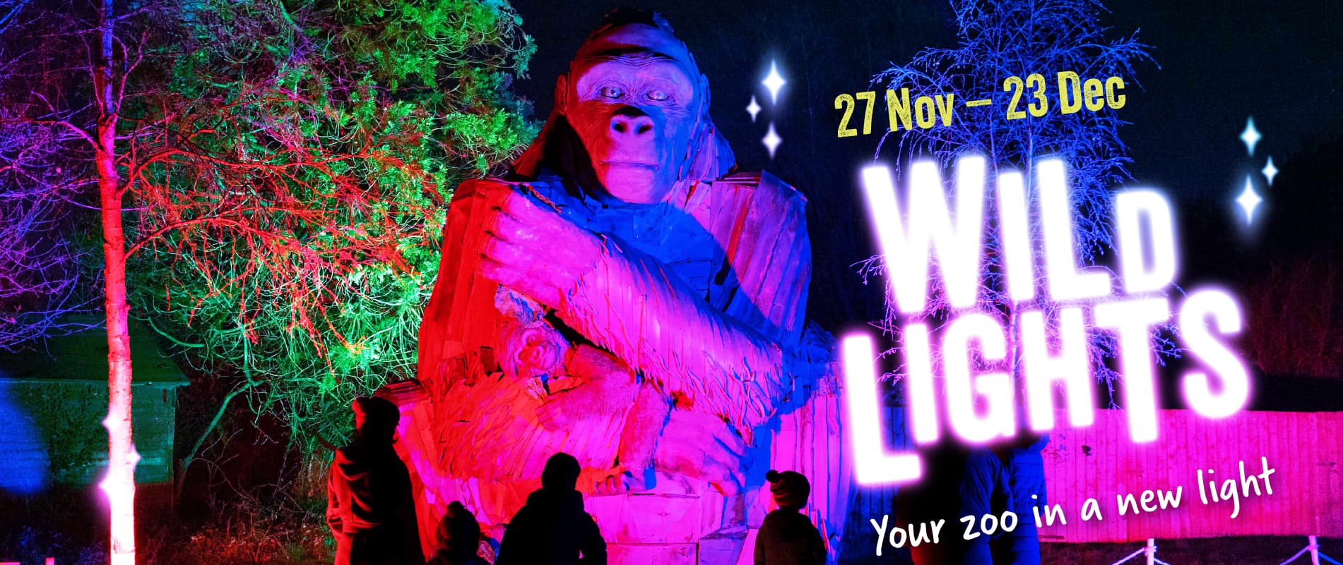 Your zoo in a new light this Christmas