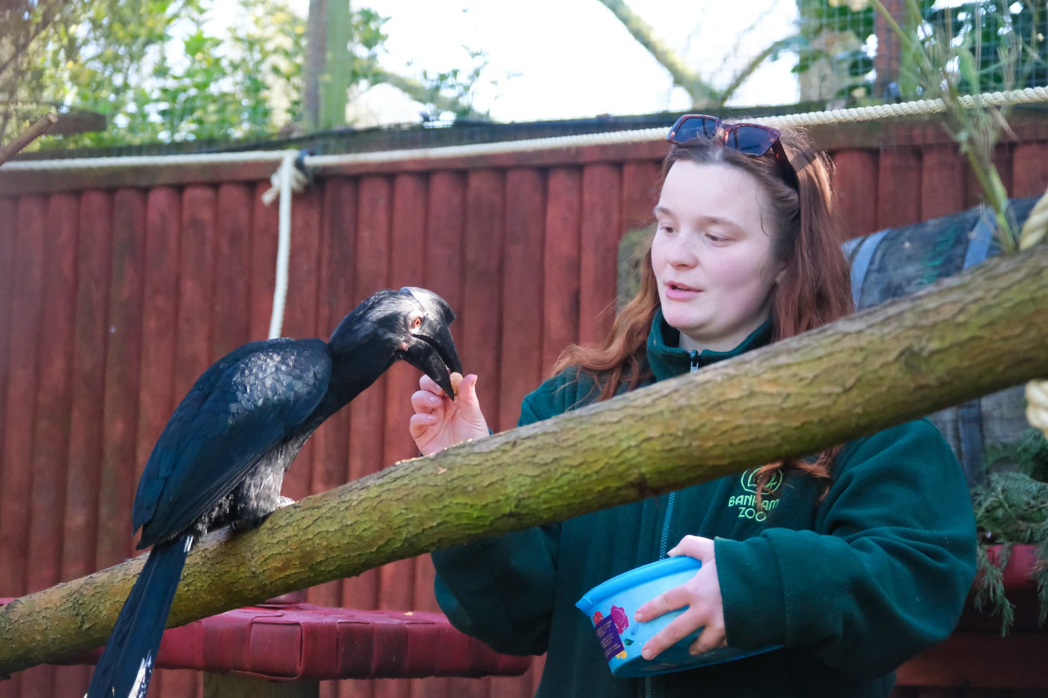 From Keeper to Conservationist: Women Leading the Way at Banham Zoo