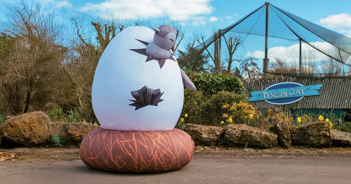 Your Wildest Easter Yet