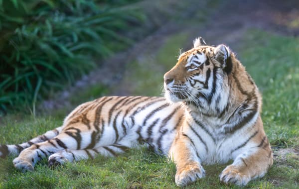 Tripadvisor Travellers' Choice Awards Winner for 2026
